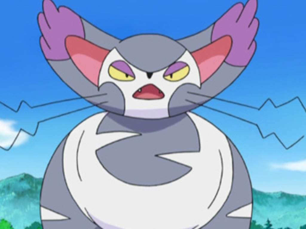 least favorite Normal Type pokemon. Pokémon Amino