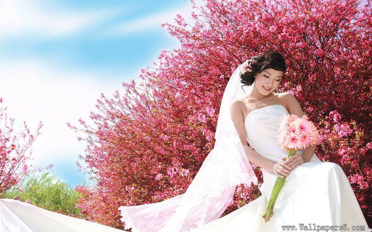 beautiful girl in her wedding gown － Photography Wallpaper