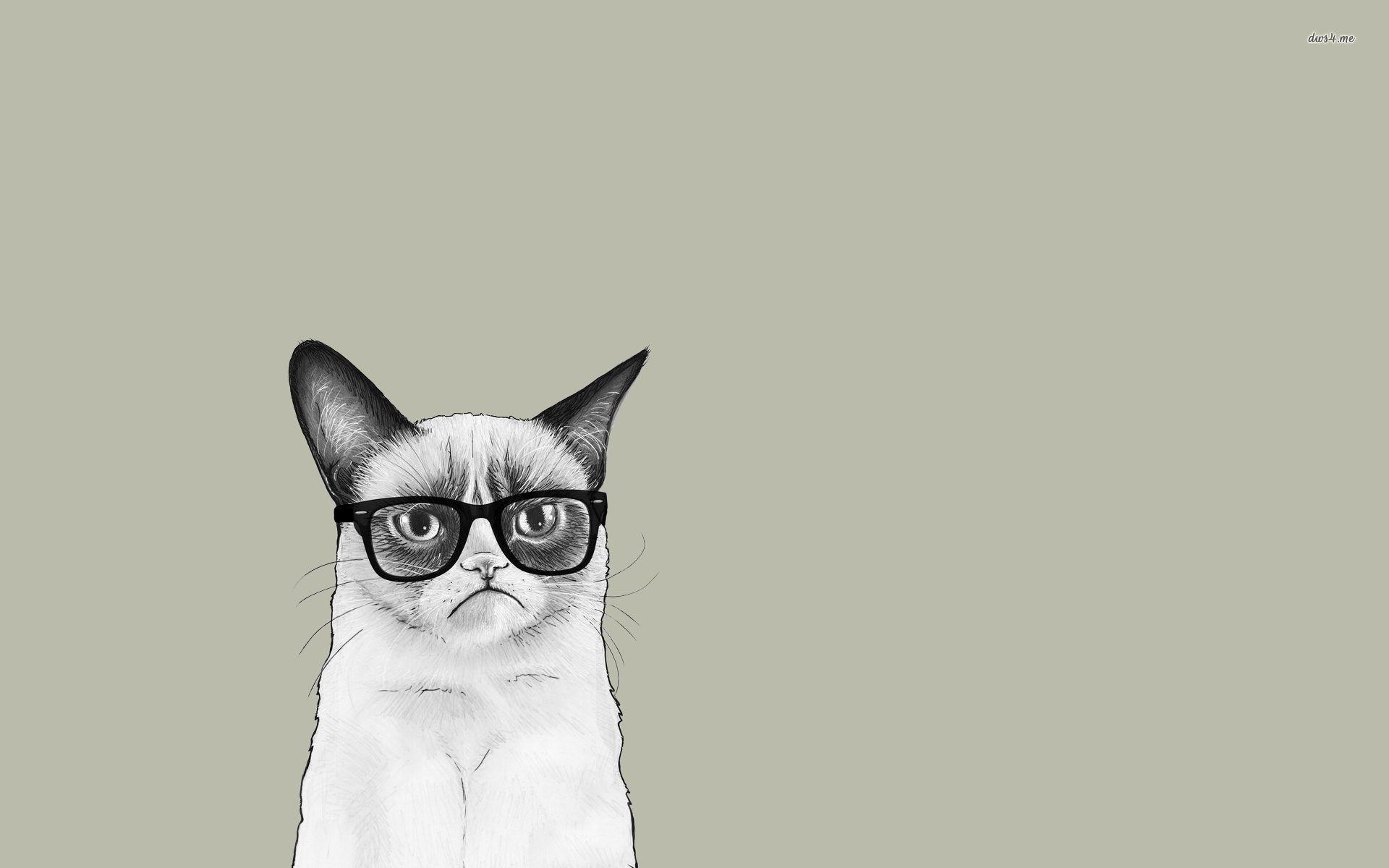 Grumpy Cat with glasses wallpaper wallpaper