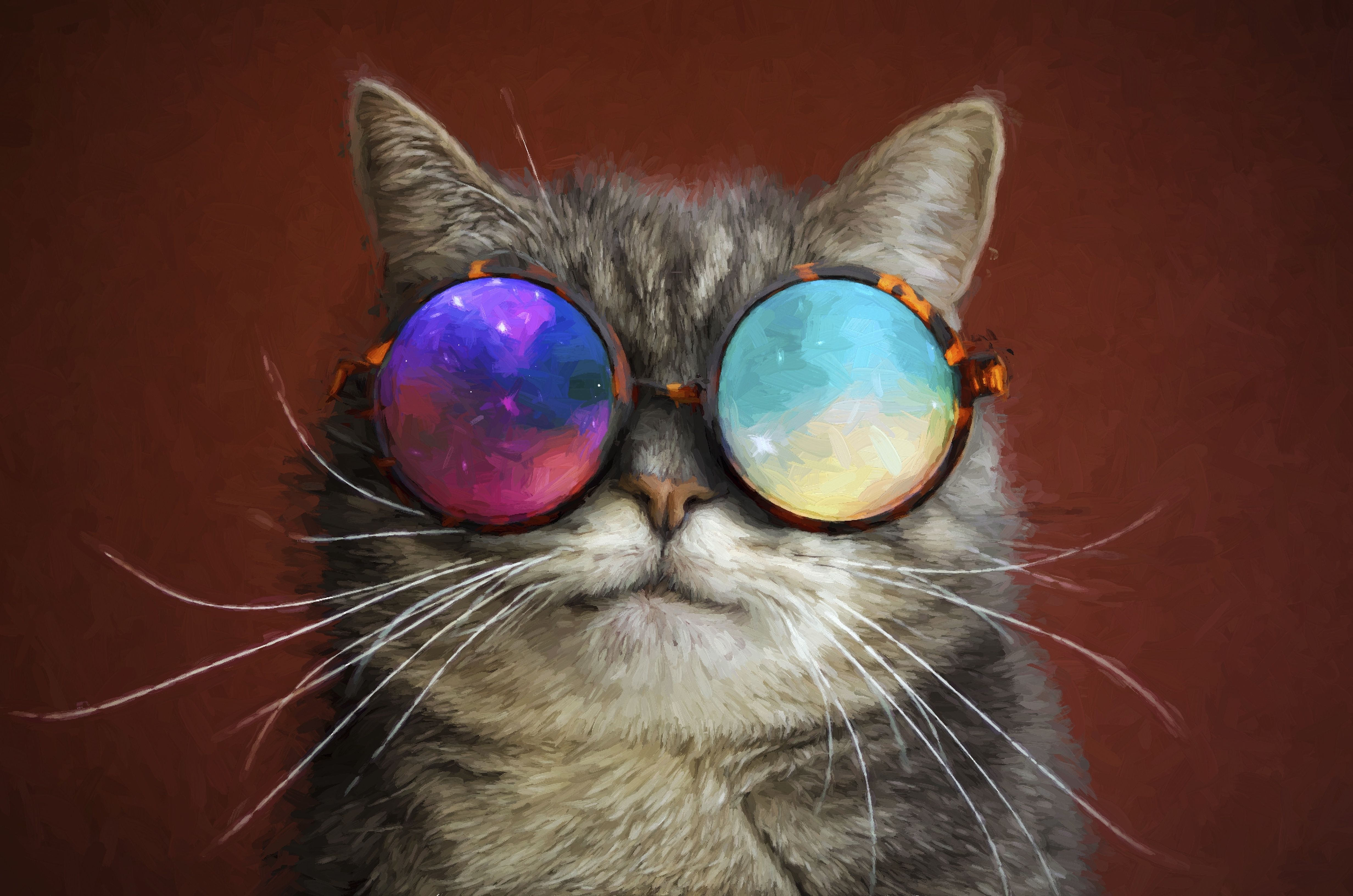 Cat Glasses Party Cool Painting, HD Animals, 4k Wallpaper, Image