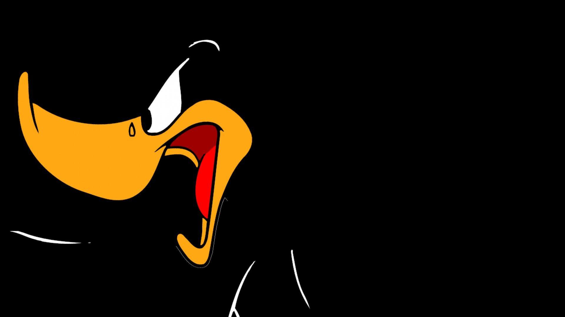 Daffy Duck Wallpaper, HD Creative Daffy Duck Pics, Full HD