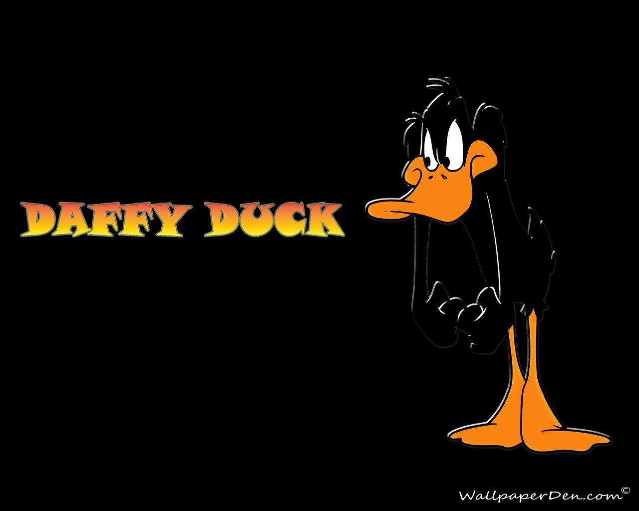 daffy duck image HD Wallpaper, Photo, 73 kB