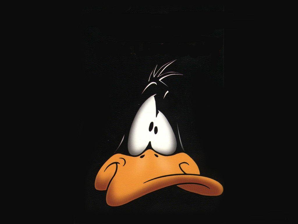 Daffy Duck Widescreen Wallpaper 26175