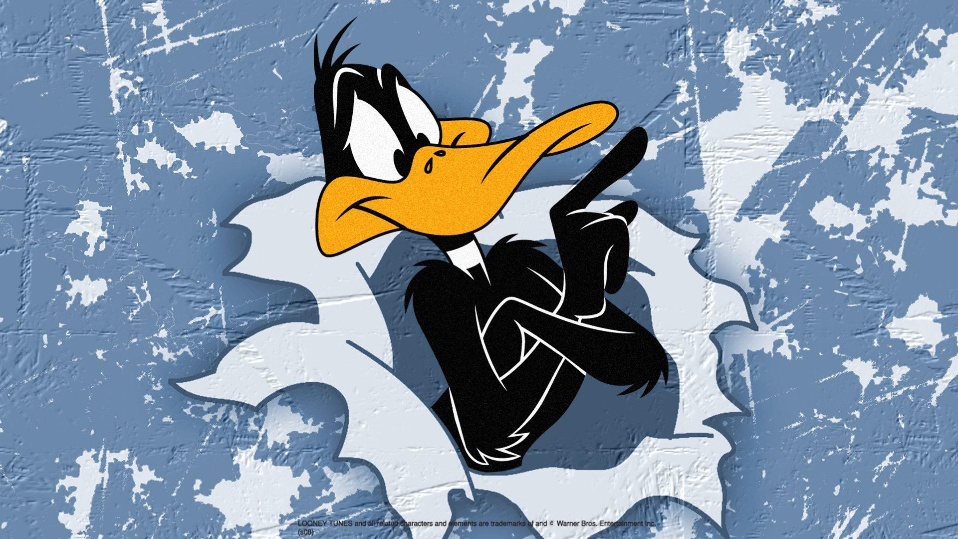 Daffy Duck HD Wallpaper 26169