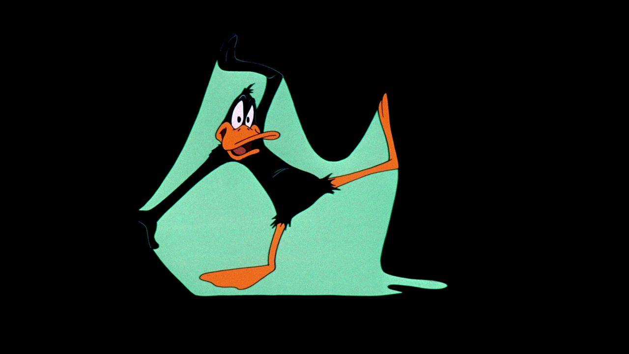 Daffy Duck Background Wallpaper 26164