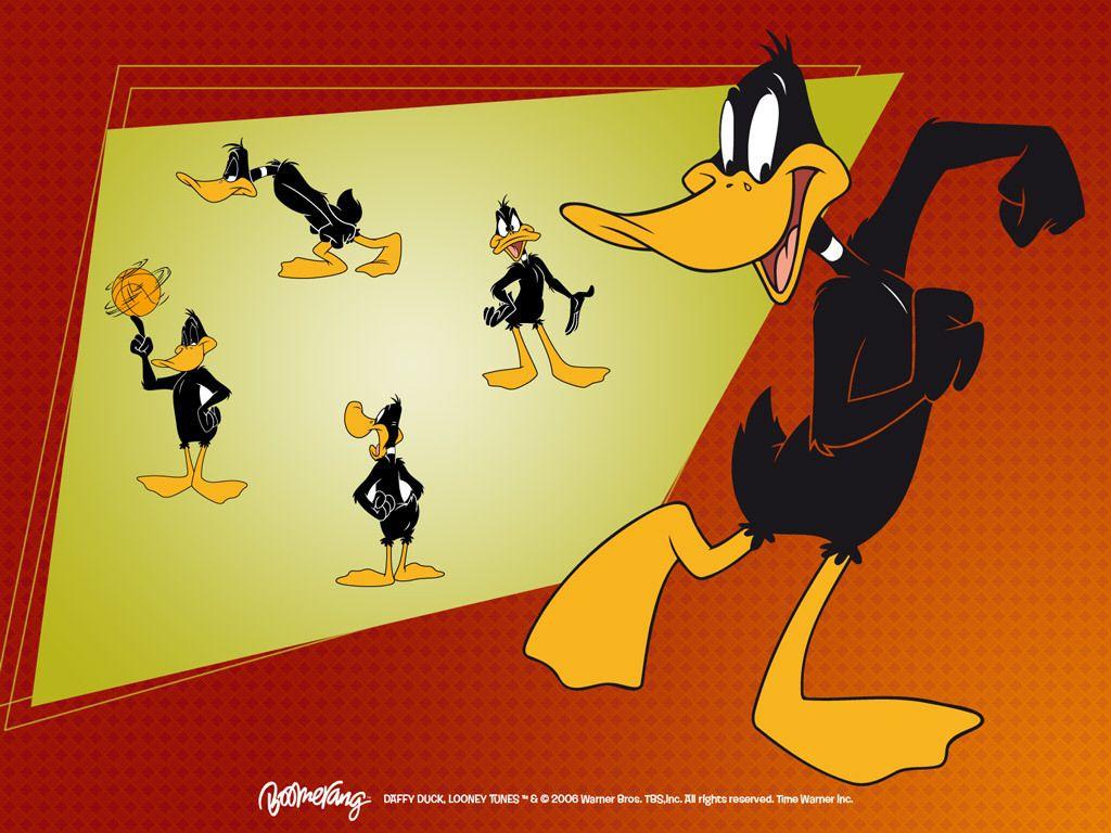 Looney Tunes Daffy Duck Wallpaper Image for iPod