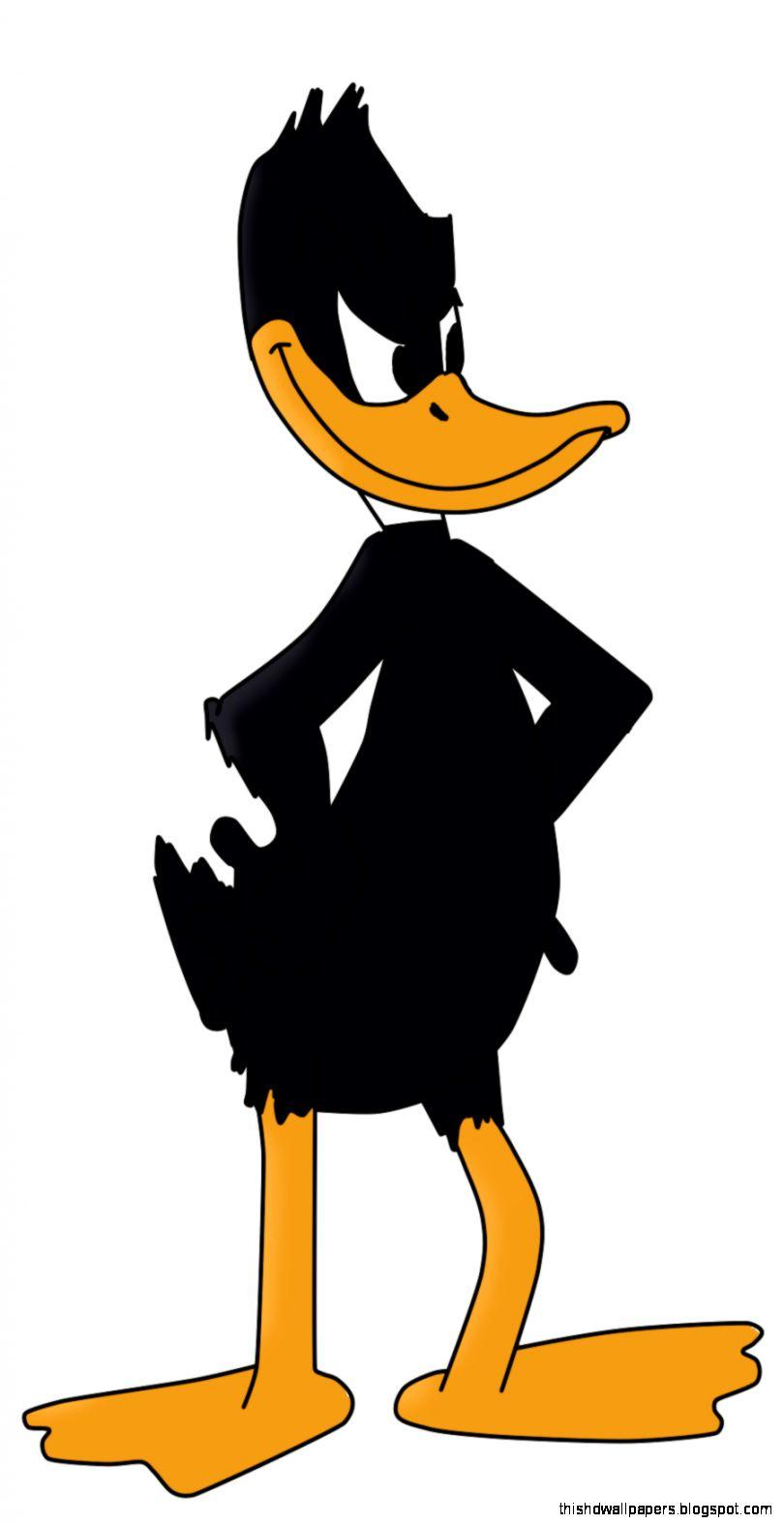 Daffy Duck Cartoon Art HD Wallpaper