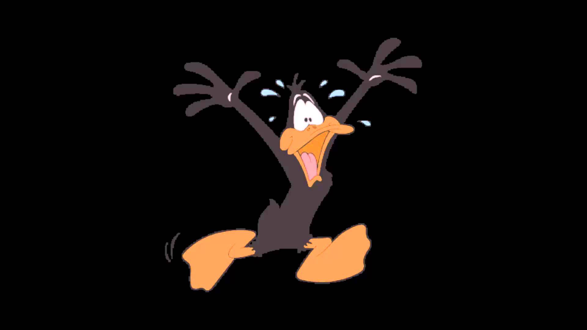 Daffy Duck on Crack (Ringtone)