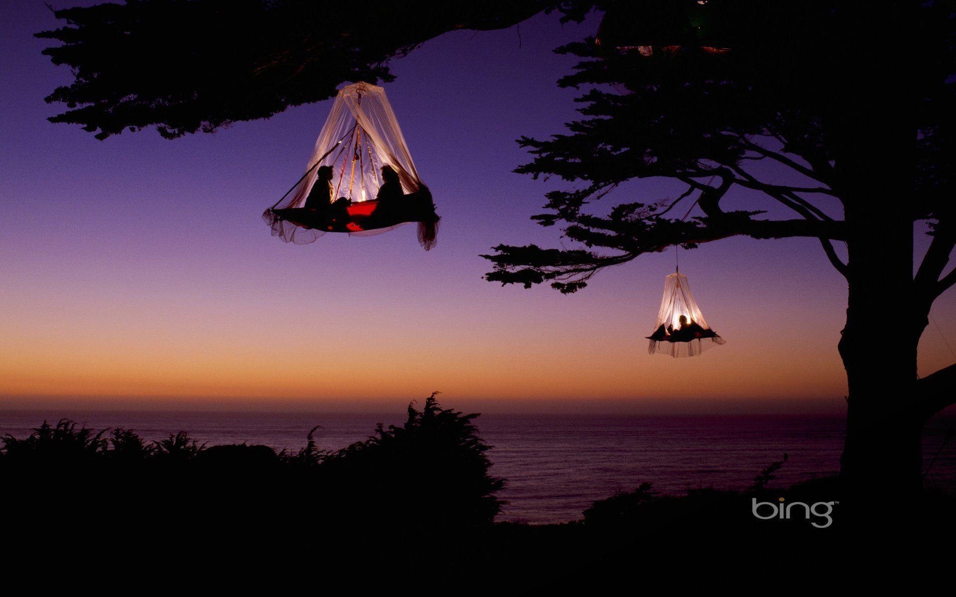 sky sunset tree lamps hammocks HD wallpaper