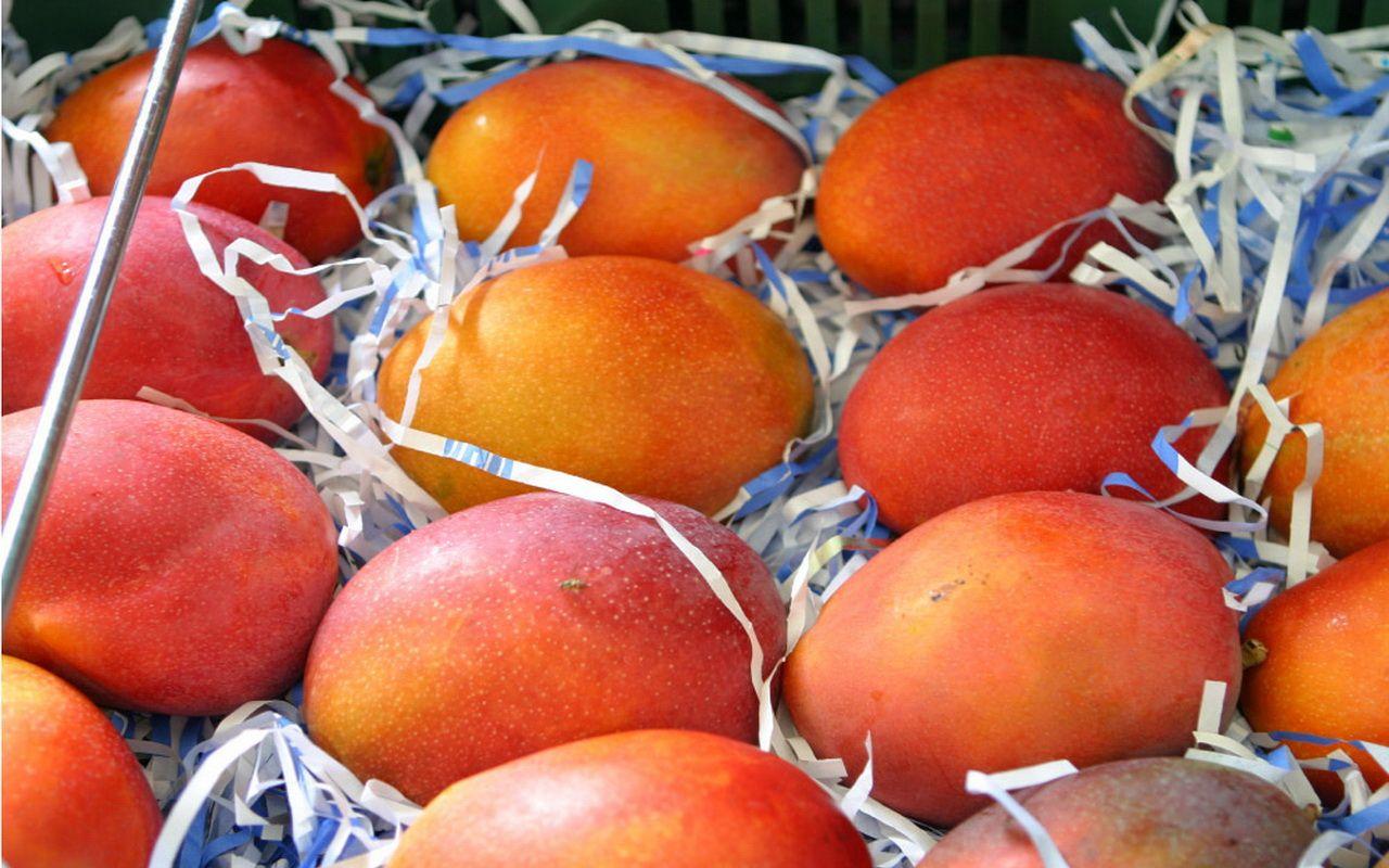 Sweet Fruit Mango Image HD Wallpaper. Beautiful image HD