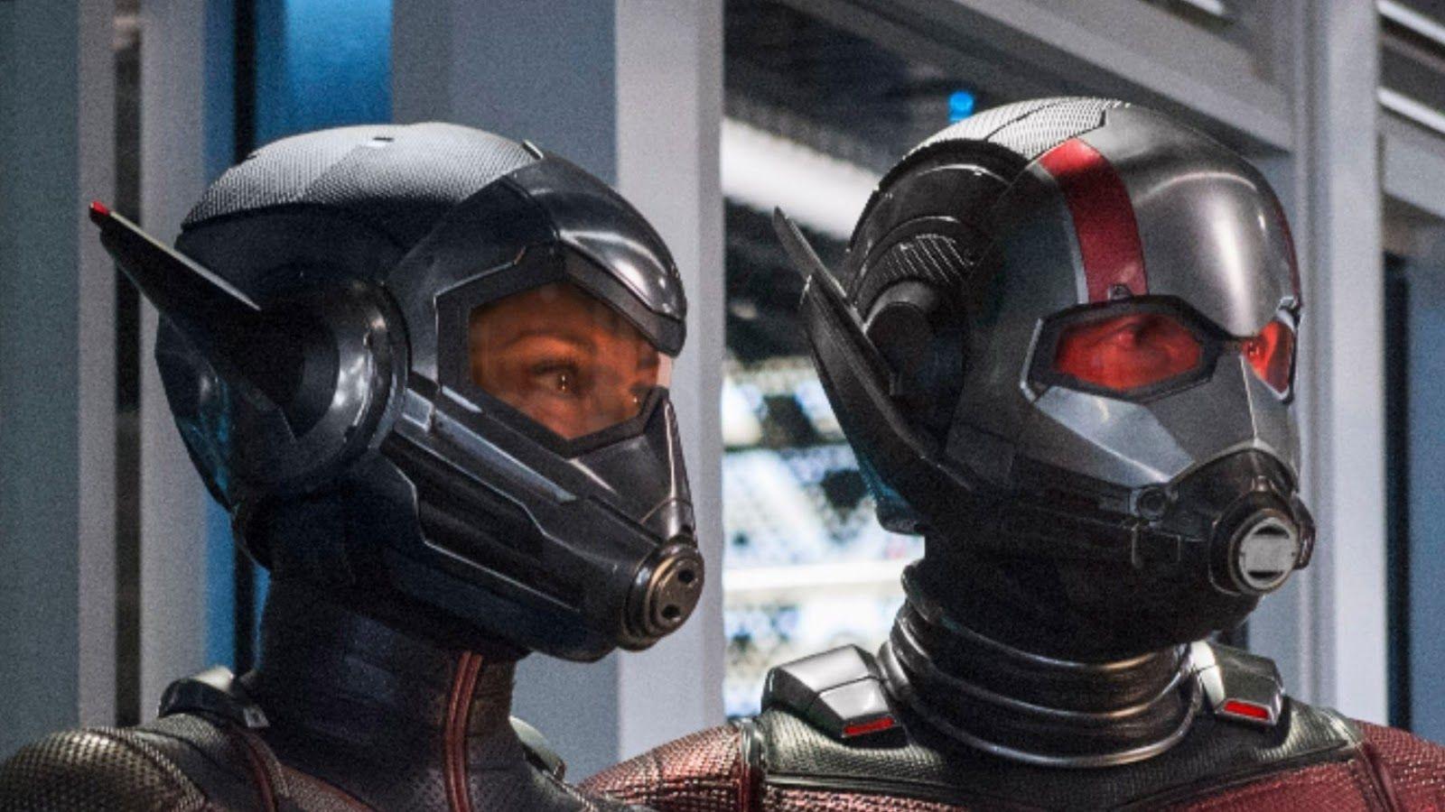 Ant Man And The Wasp HD Wallpaper And Background Image. Whatsappsher