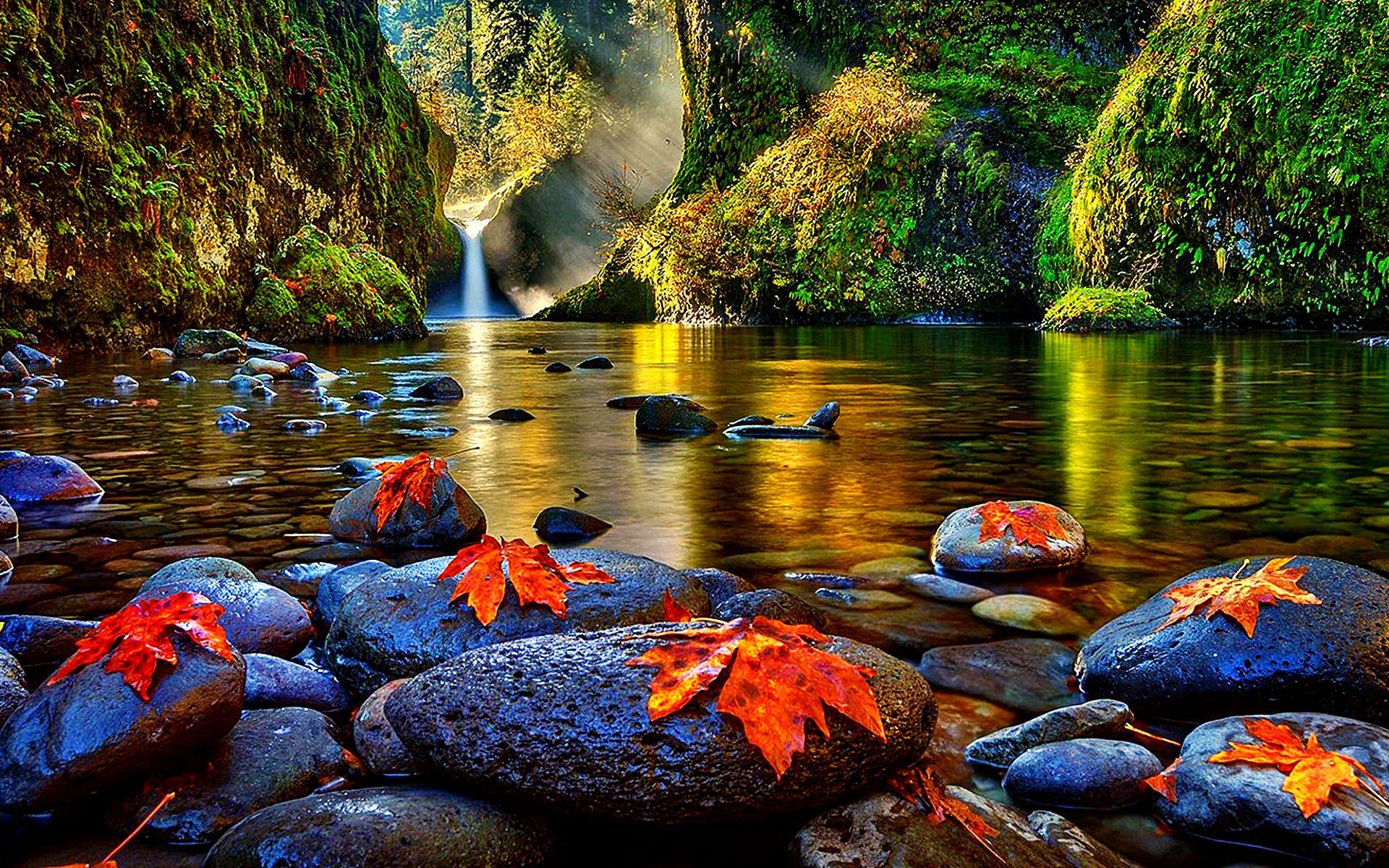Beauties Nature Wallpapers Wallpaper Cave