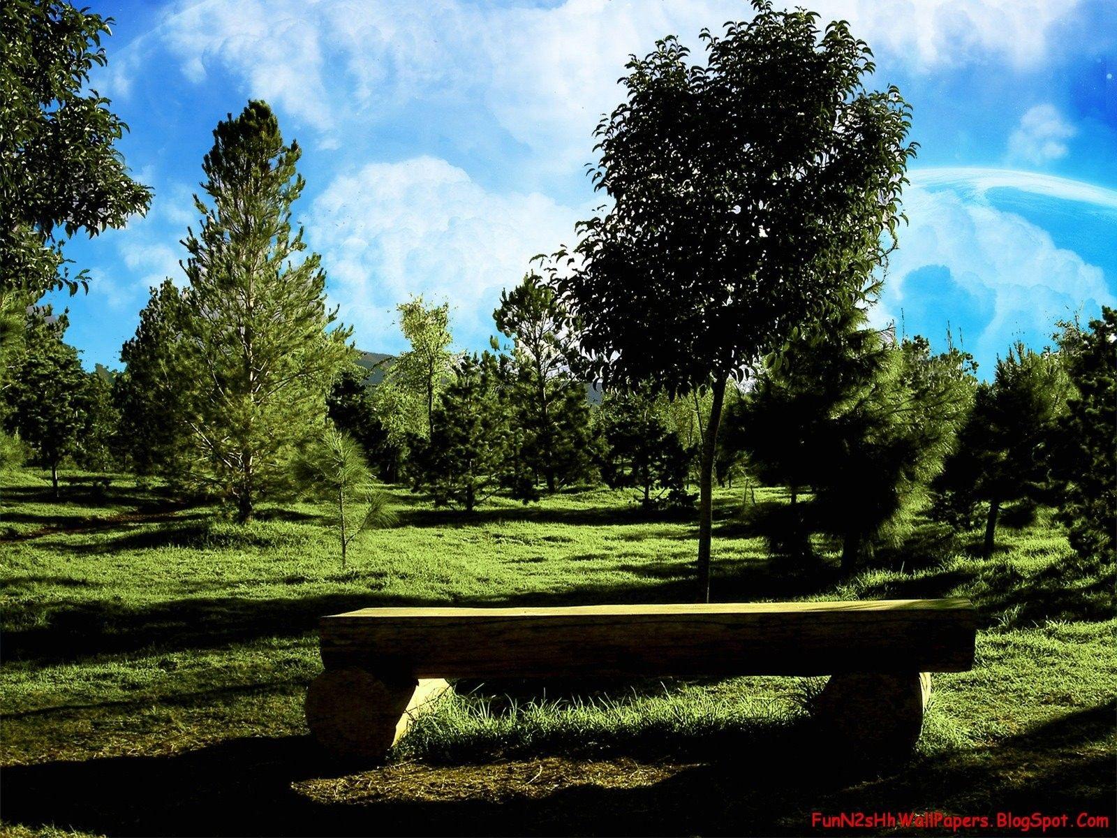 Field: Beauties Trees Bench Green Nature Garden Digital Wallpaper
