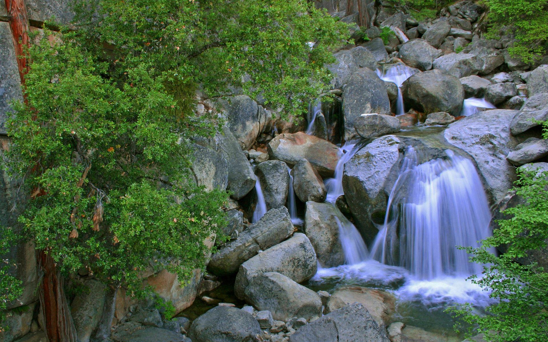 Beauties Of Nature, Beautiful HD Wallpaper With Waterfall Rock Tree