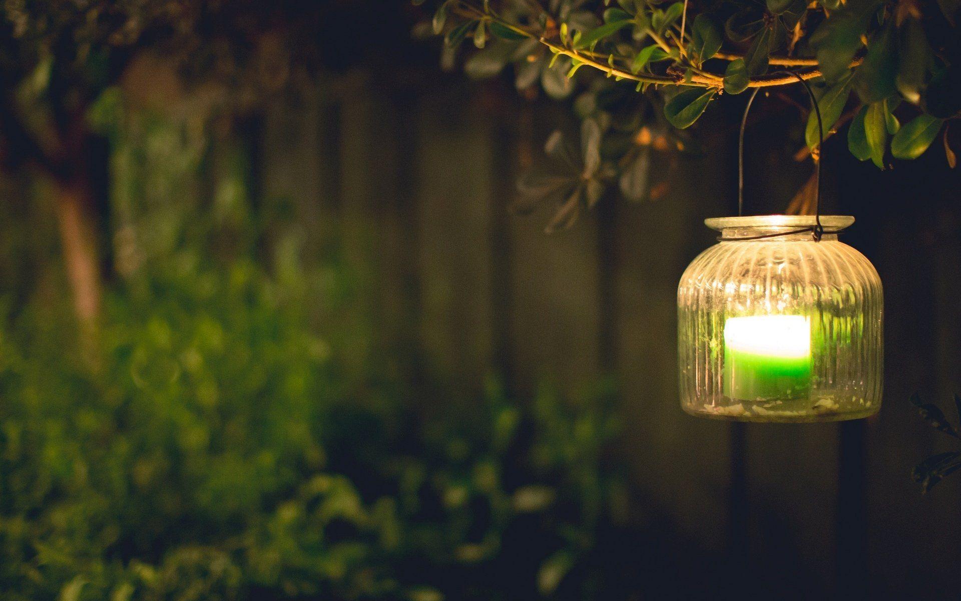 mood light lamps green candle leaves branch blur tree background