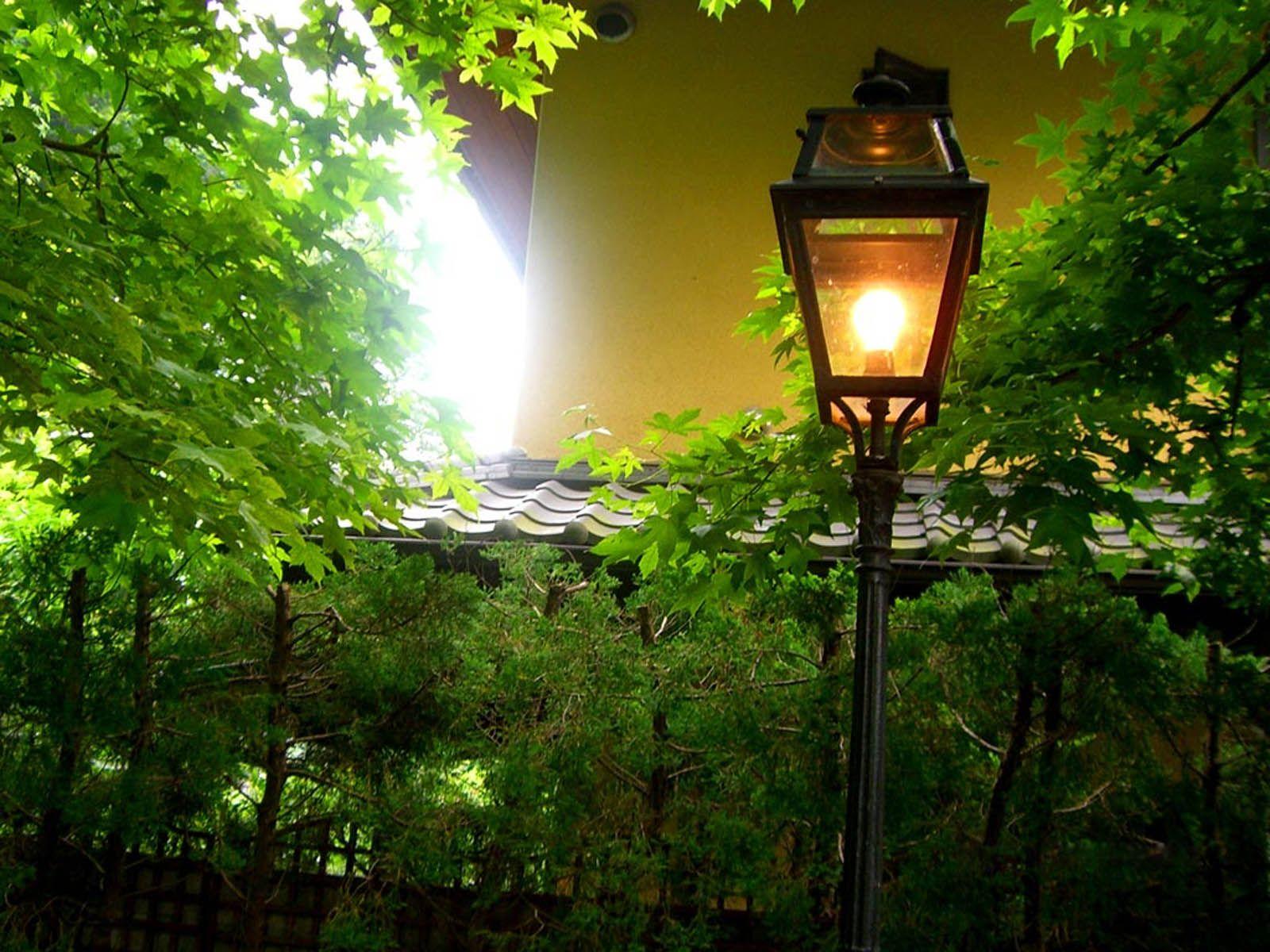 Street Lamps Picture Gallery