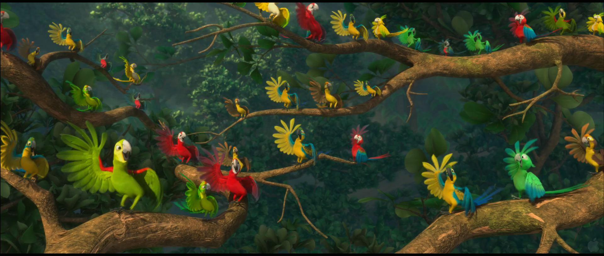 Parrots from Rio Desktop Wallpaper