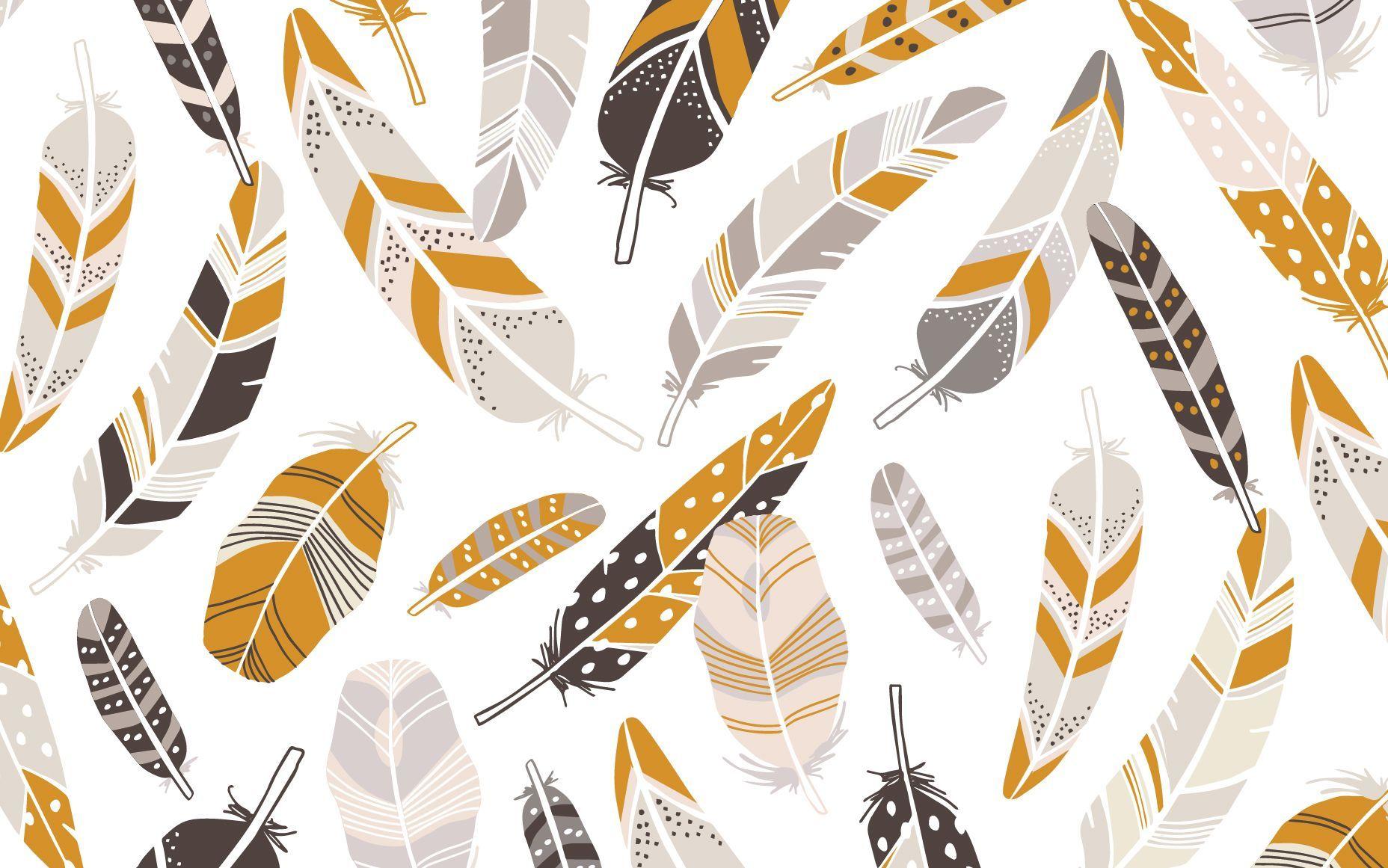 Brown white grey orange feathers desktop wallpaper background. Desktop wallpaper art, Desktop wallpaper, Fall wallpaper