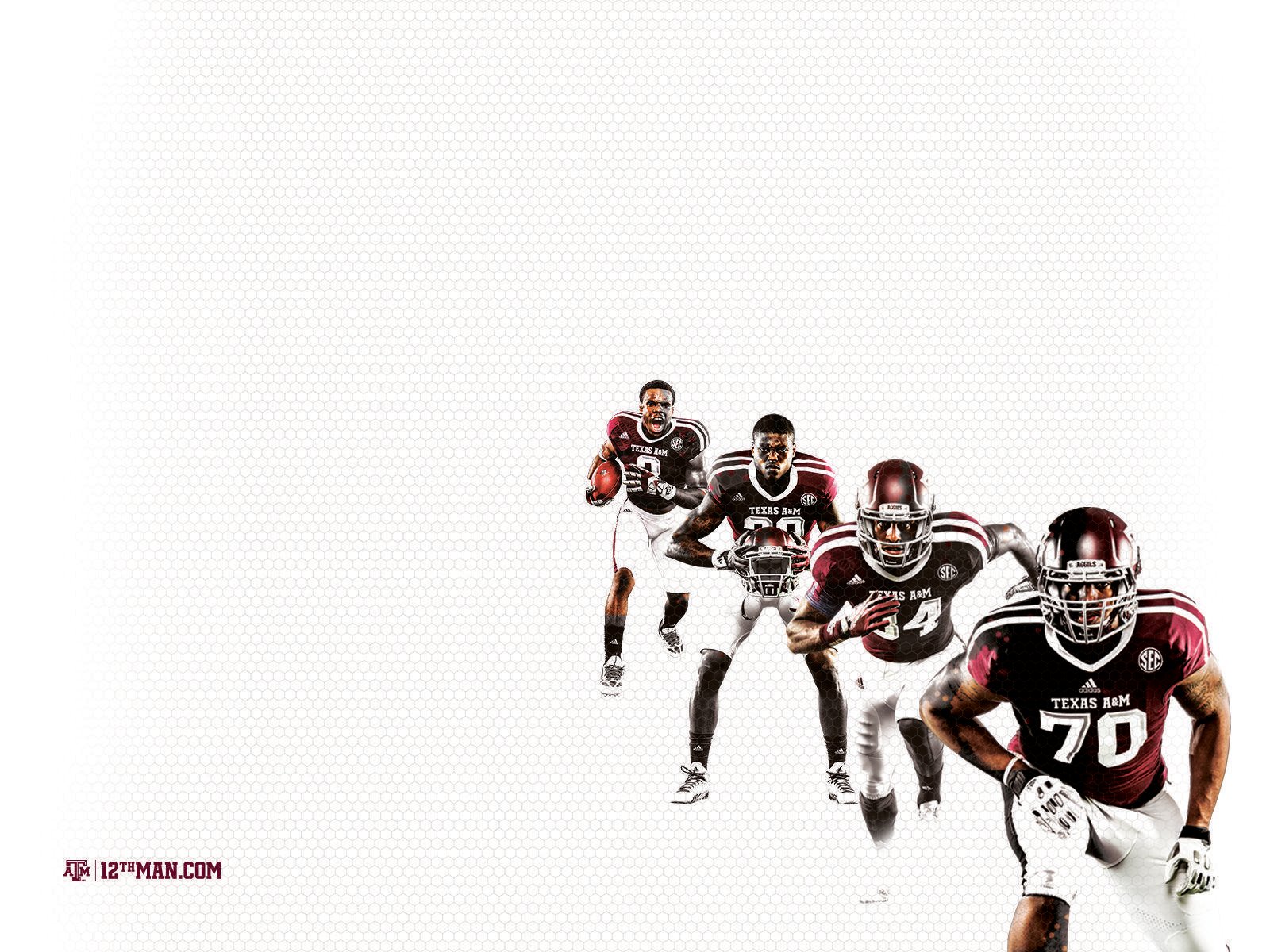 Tamu Desktop Wallpapers - Wallpaper Cave