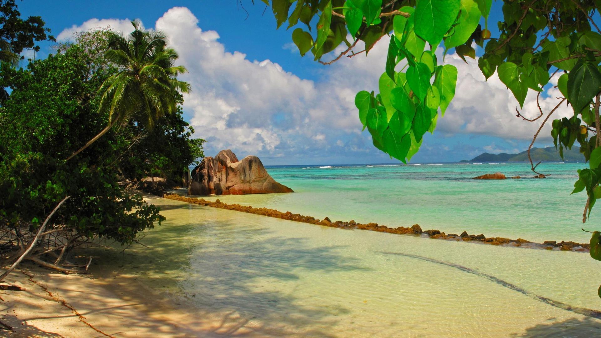 Nature jootix wallpaper