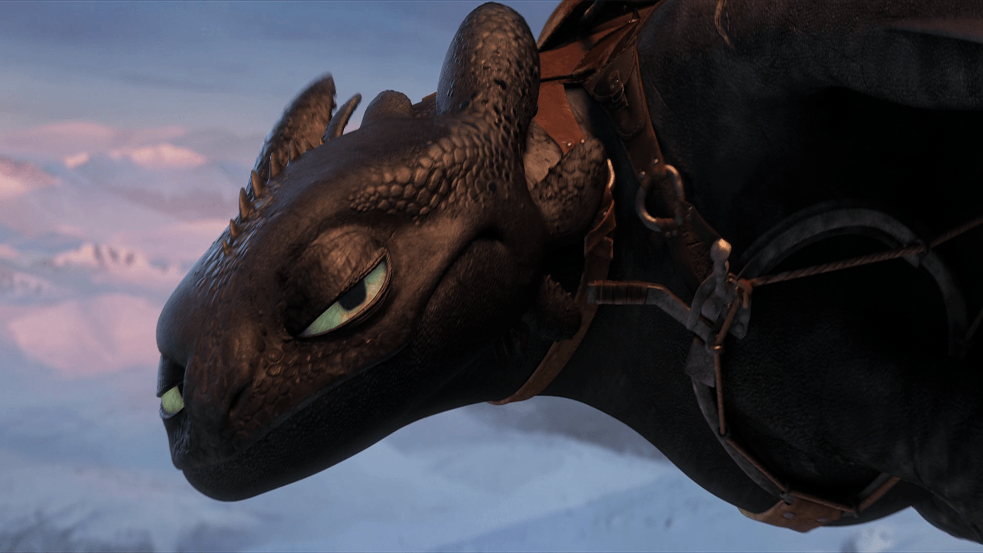 How To Train Your Dragon Toothless Wallpaper Free