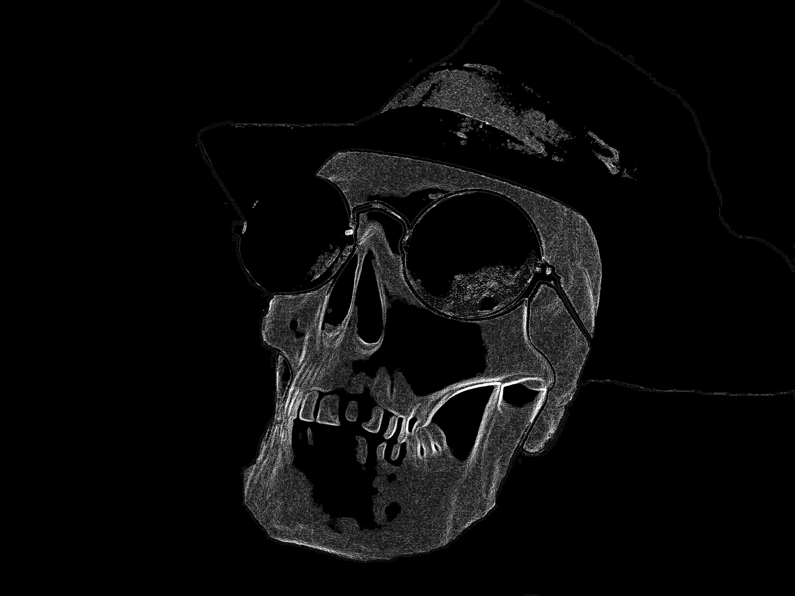 black skull wallpaper Collection