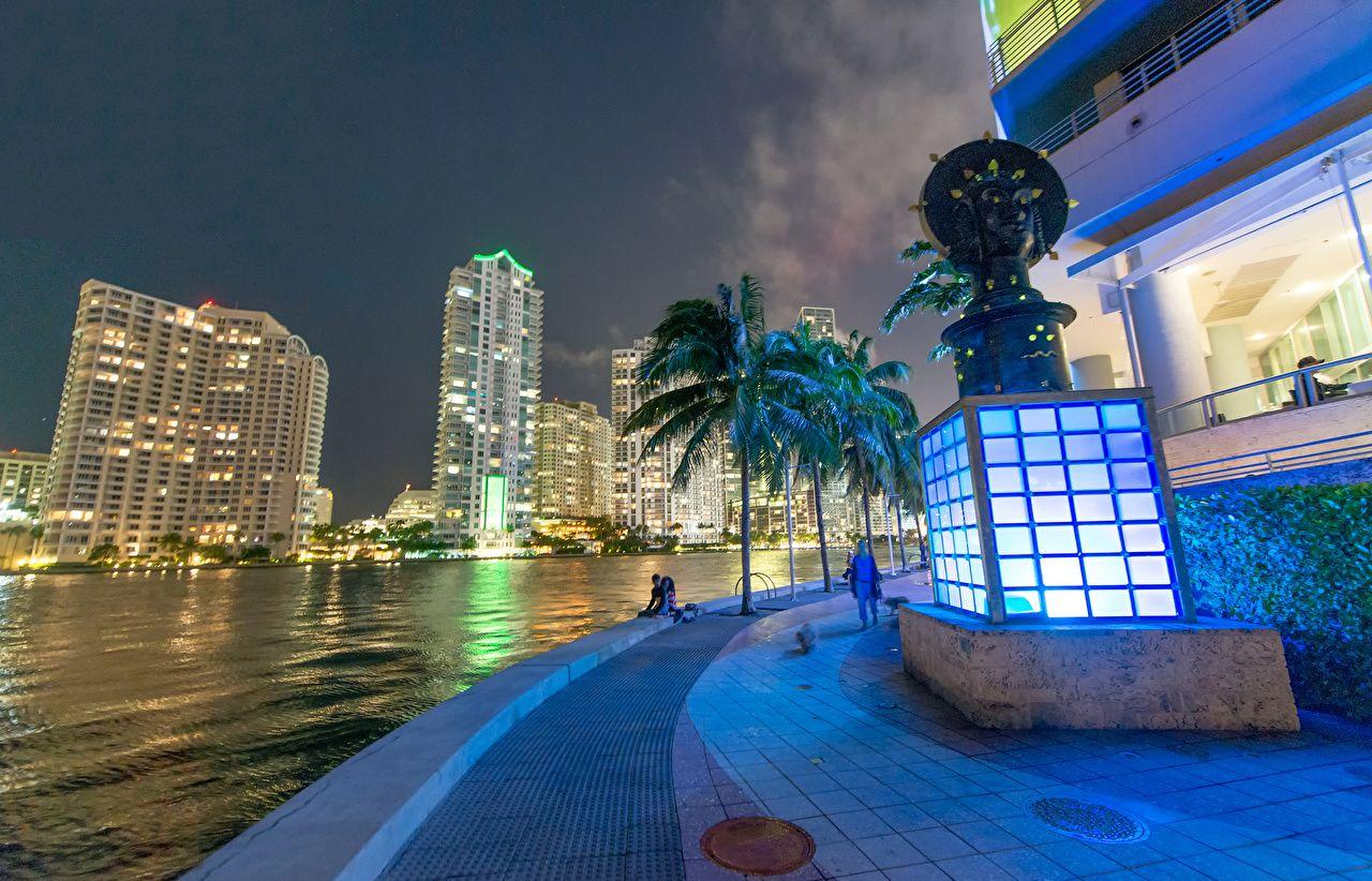 Photos Miami Florida USA palm trees Rivers night time Skyscrapers