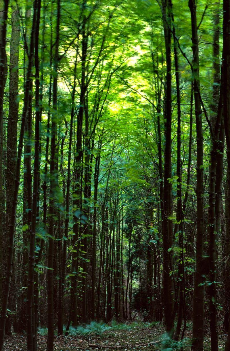 rePin image: Trippy HD Wallpaper