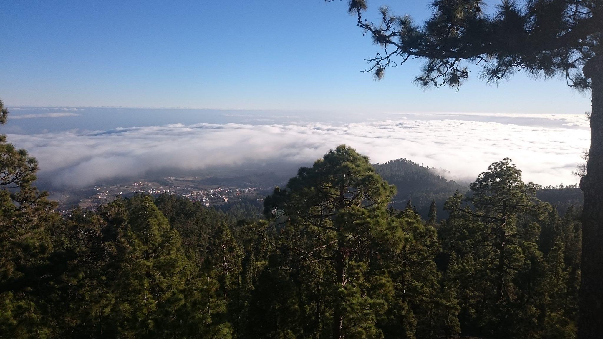 Trippy HD Wallpaper Desktop Image and Photo