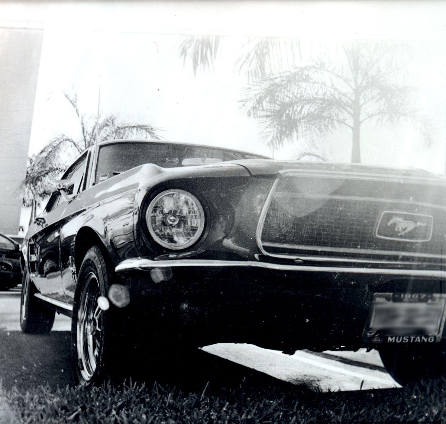 Mustang. This is beautiful and I'm obsessed with the old mustangs