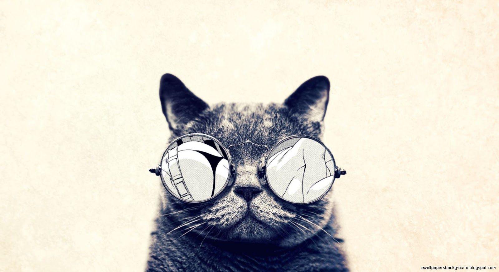 Group of Cat Hipster Wallpaper Tumblr