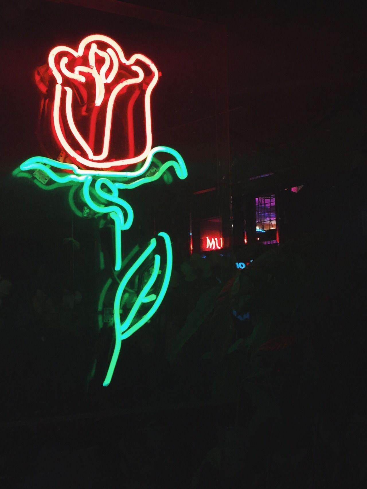 Image result for rose neon sign. neon rose. Neon, Rose