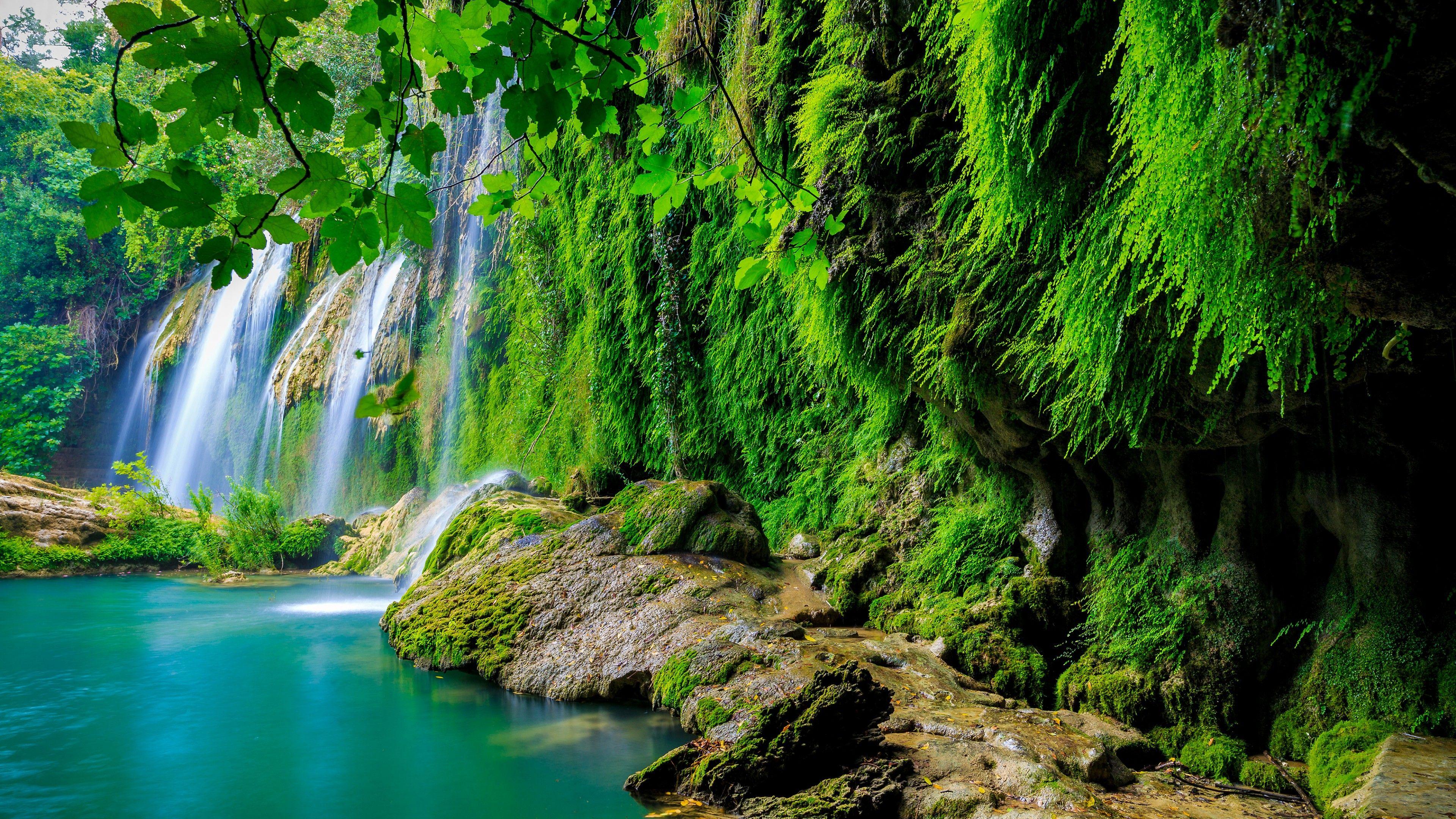 Wallpaper Tropical forest, Waterfall, HD, 4K, Nature