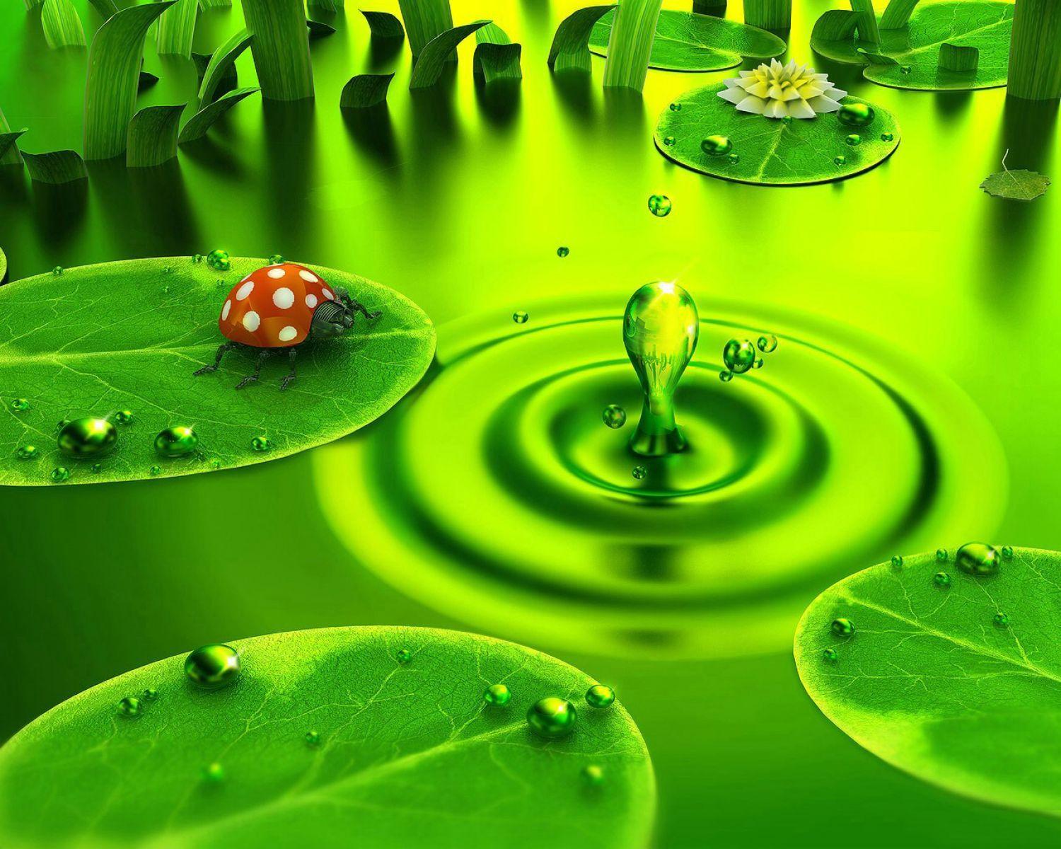 3D Ladybug And Green Rain Drop Wallpaper. HD 3D and Abstract