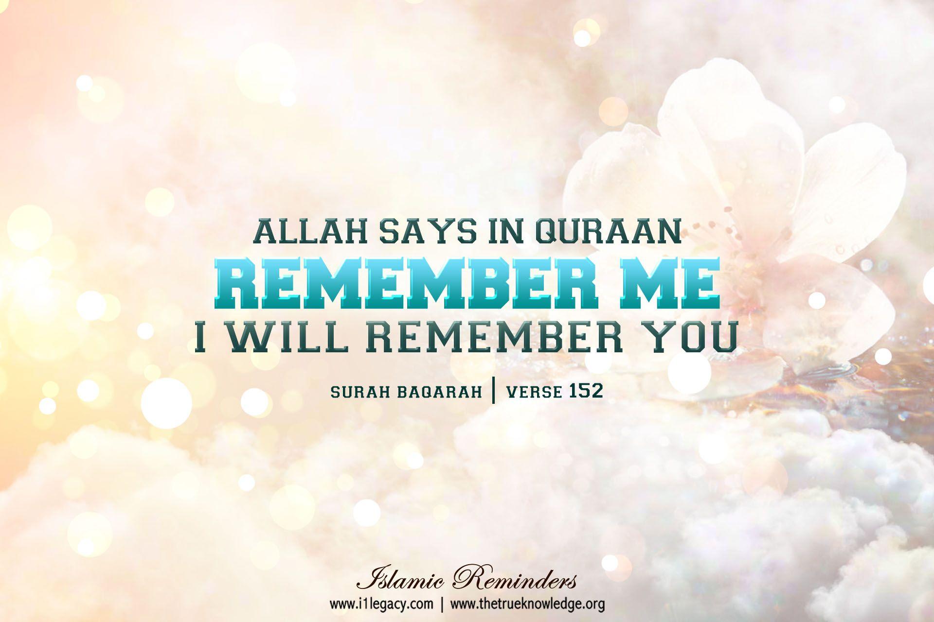 34 Islamic Wallpapers HD Pictures One HD Wallpaper Pictures 
