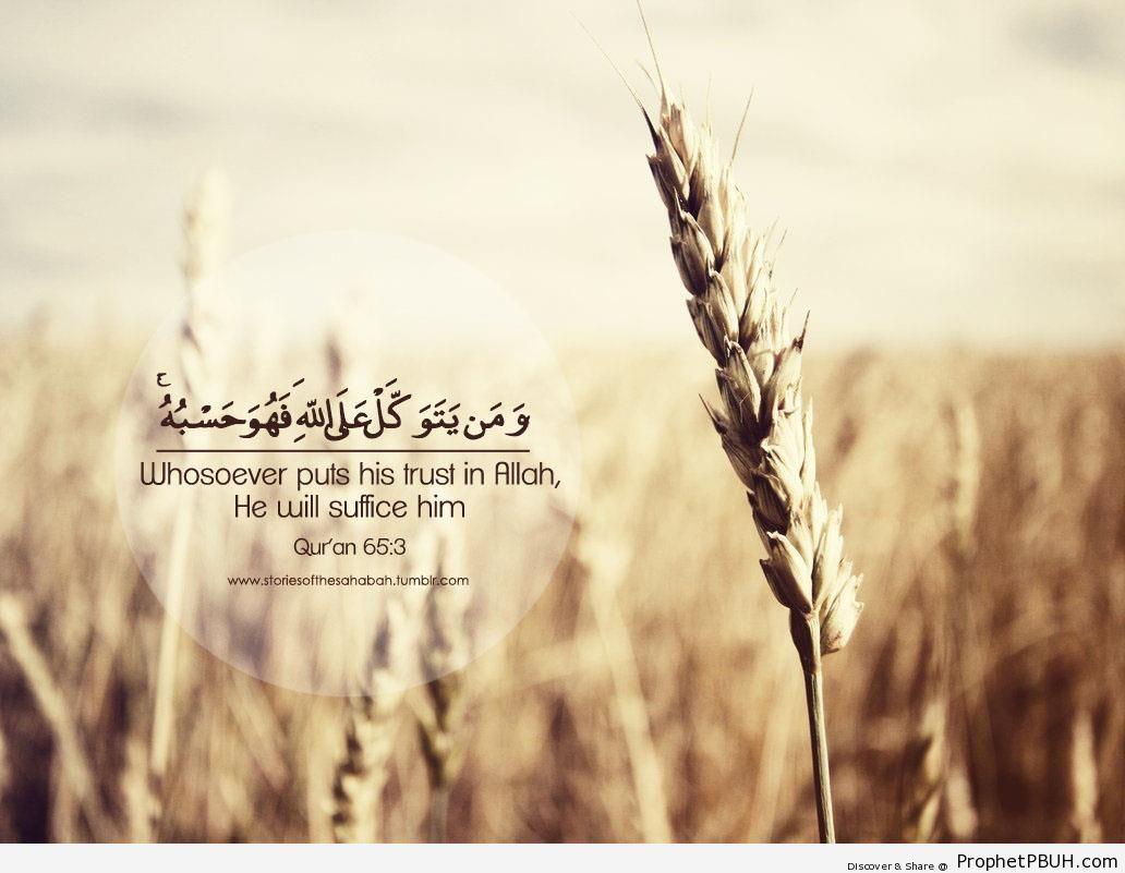 Islamic Quotes Wallpaper