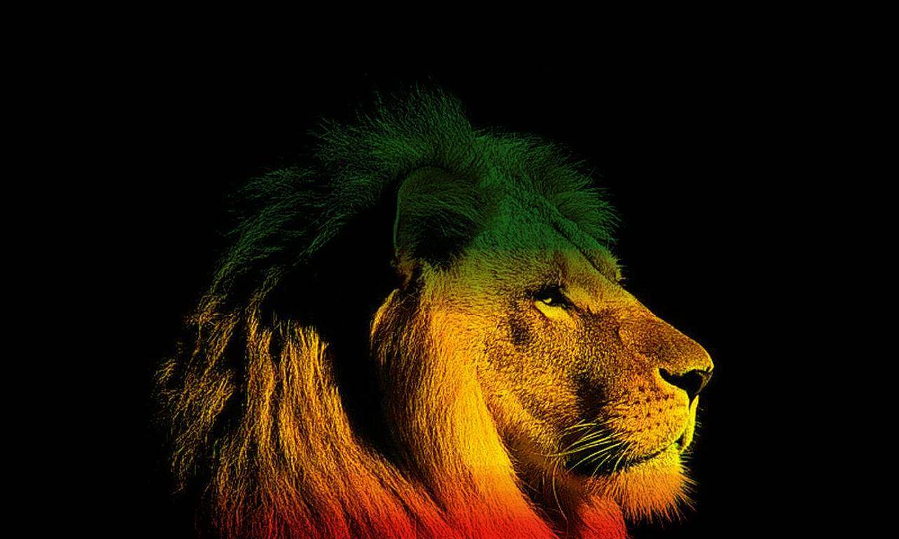 Wc1700183 Reggae Lion Wallpaper HD Background