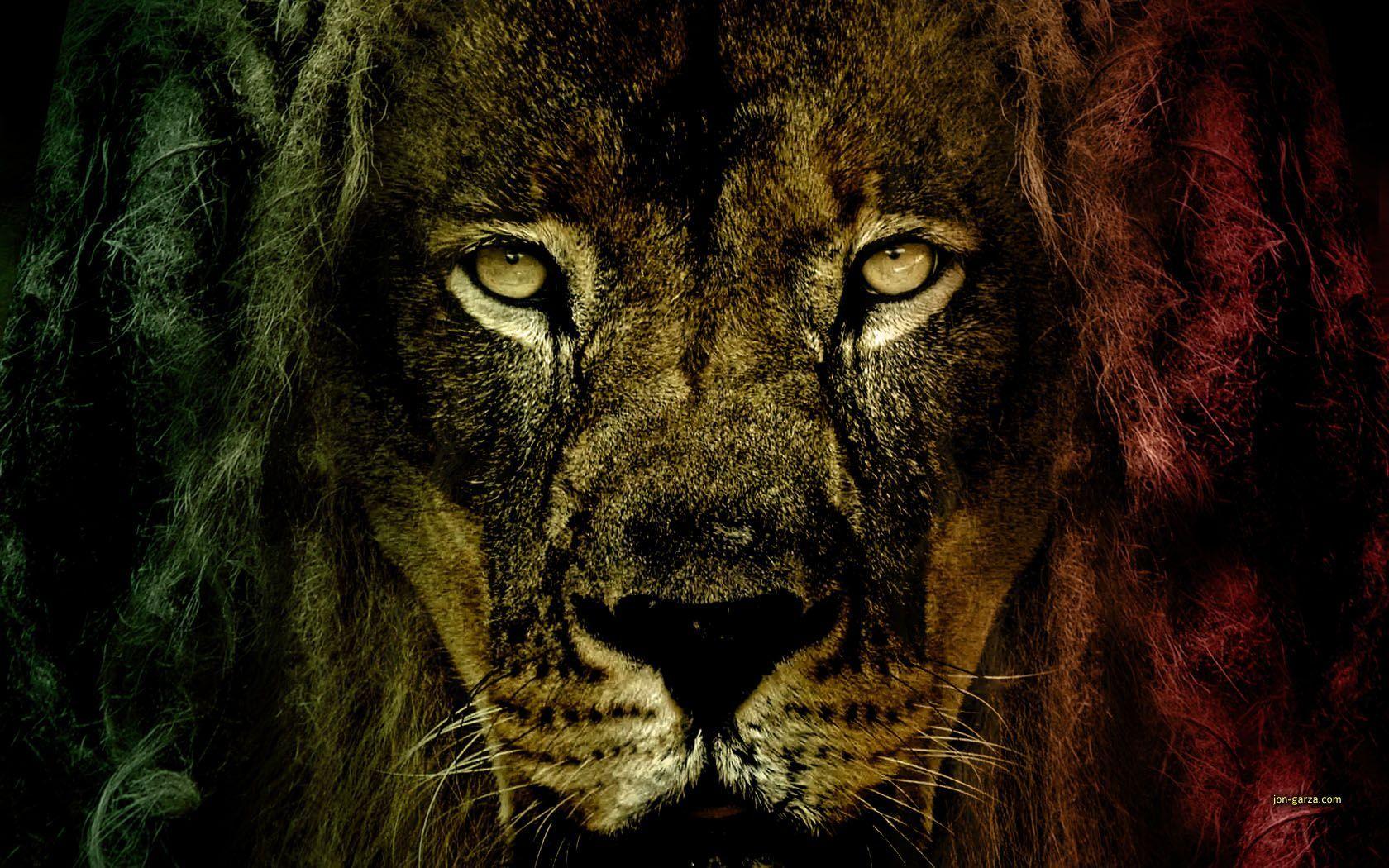 Rasta Lion Wallpaper