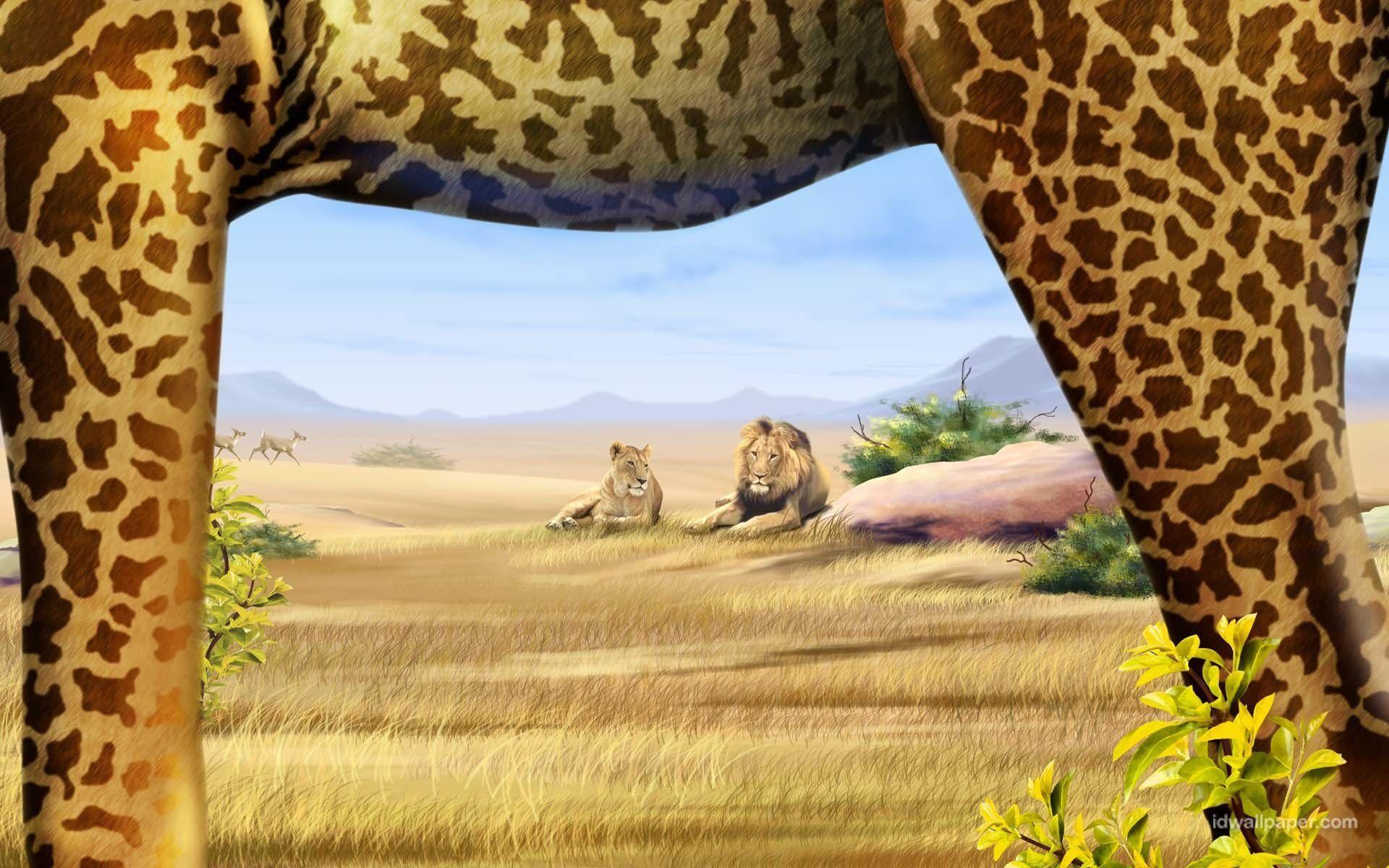 Safari HD Wallpaper and Background Image