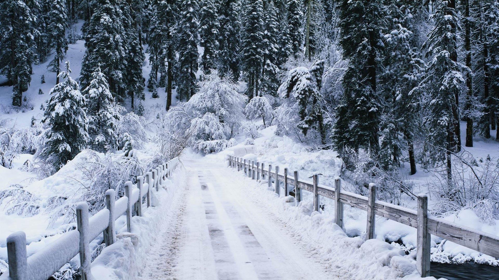 Bridges: Fantastic Snowy Bridge Forest Winter Wood Stream Free
