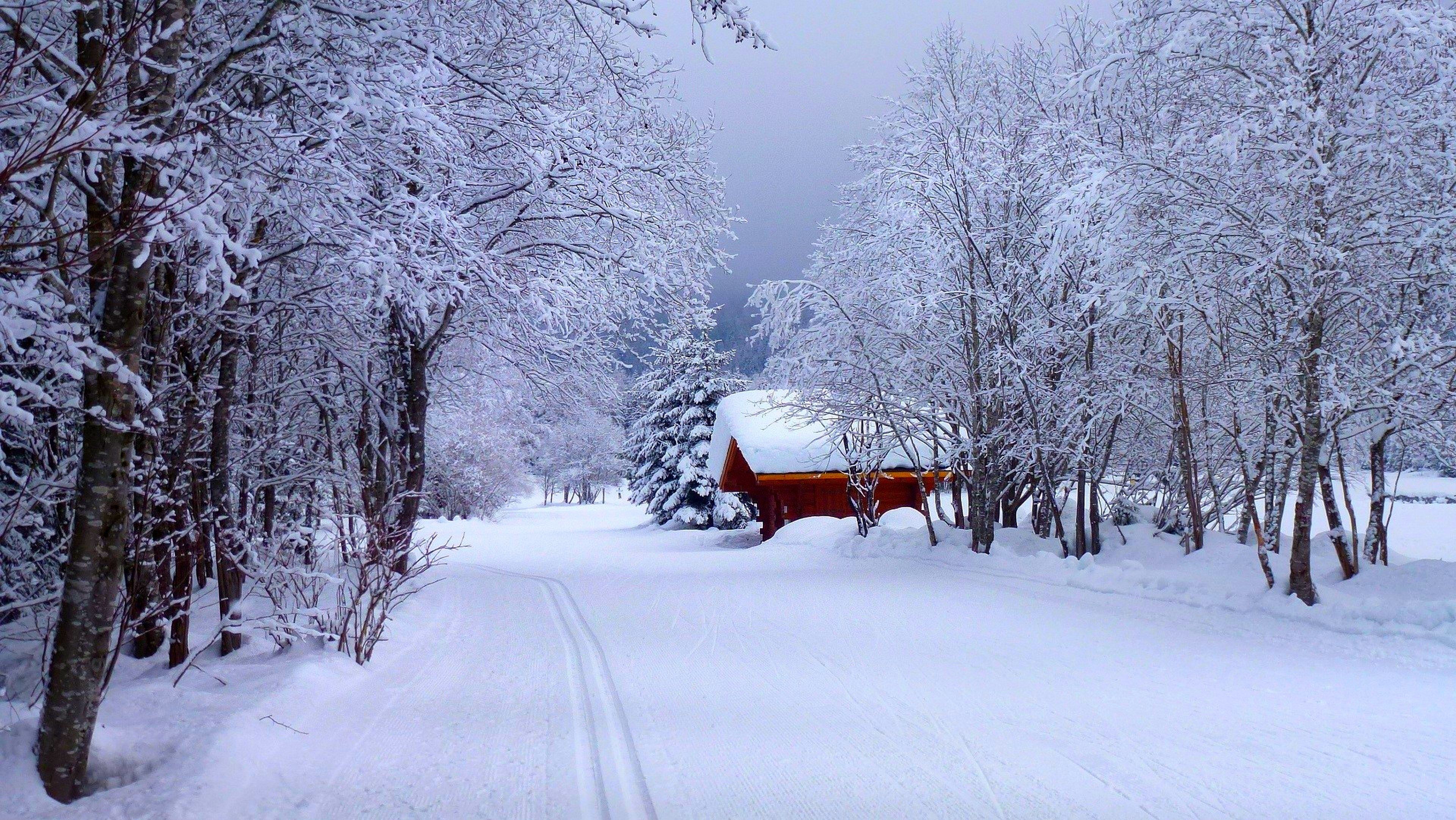 winter time, path, nature, cabin, woods, forest, snow, winter, house