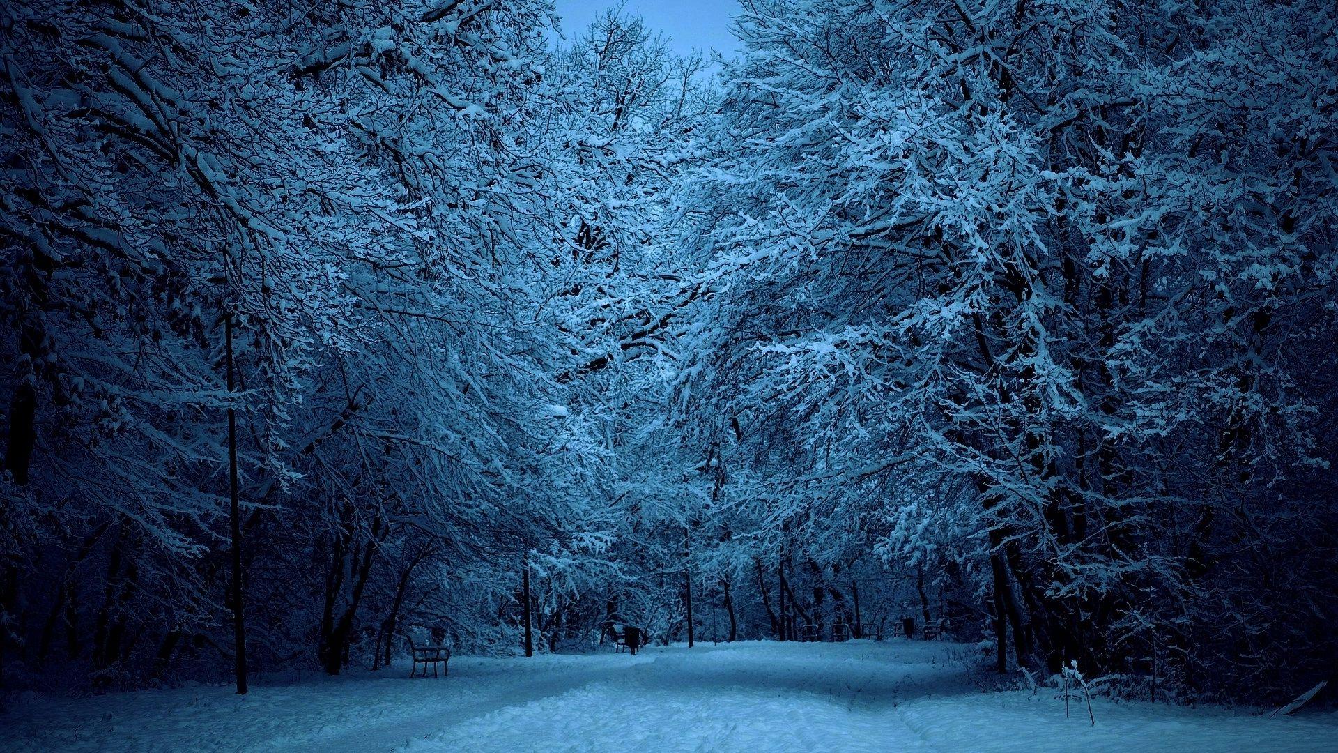 Snowy Woods Hd Wallpapers Wallpaper Cave Vrogue Co