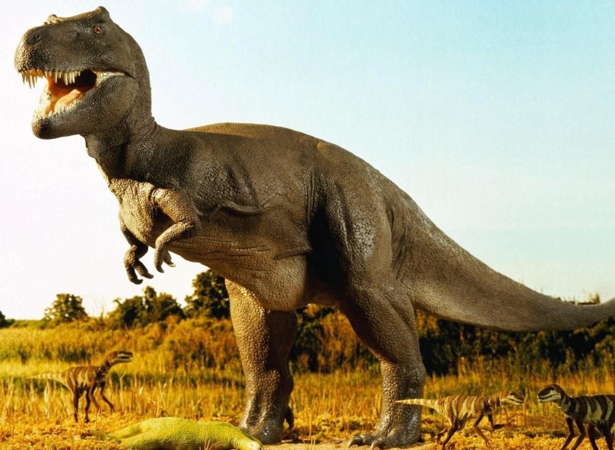 HD Dinosaur Wallpaper Picture for Desktop Free Download