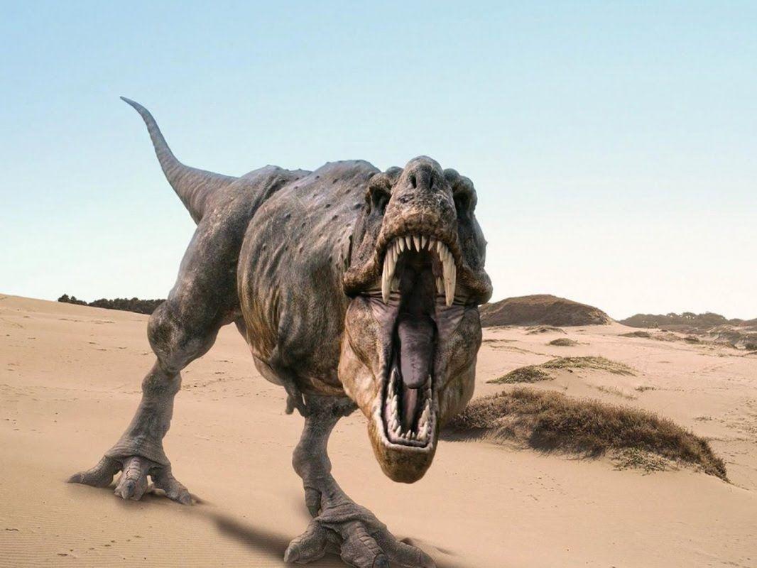 The World's Biggest Dinosaurs