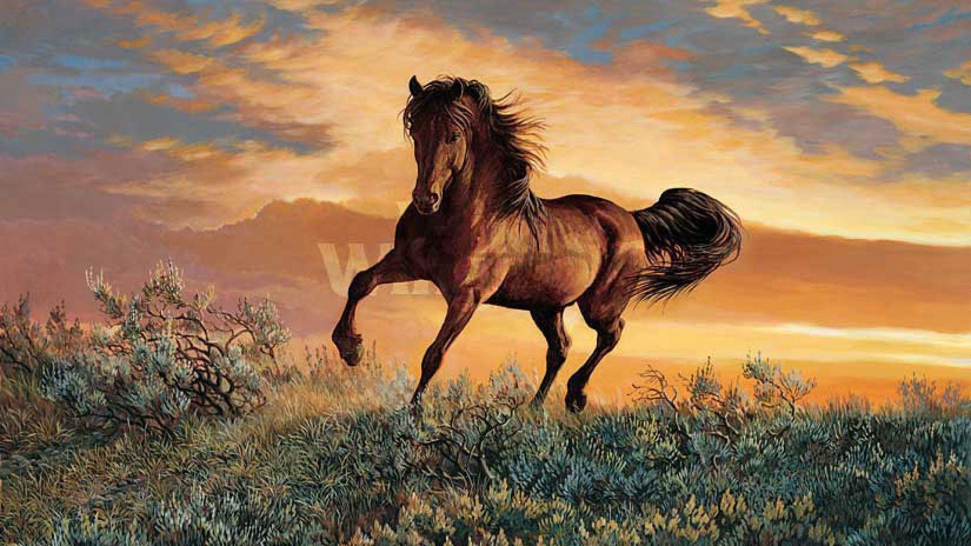 Ild Horses Mustang HD Wallpaper, Background Image