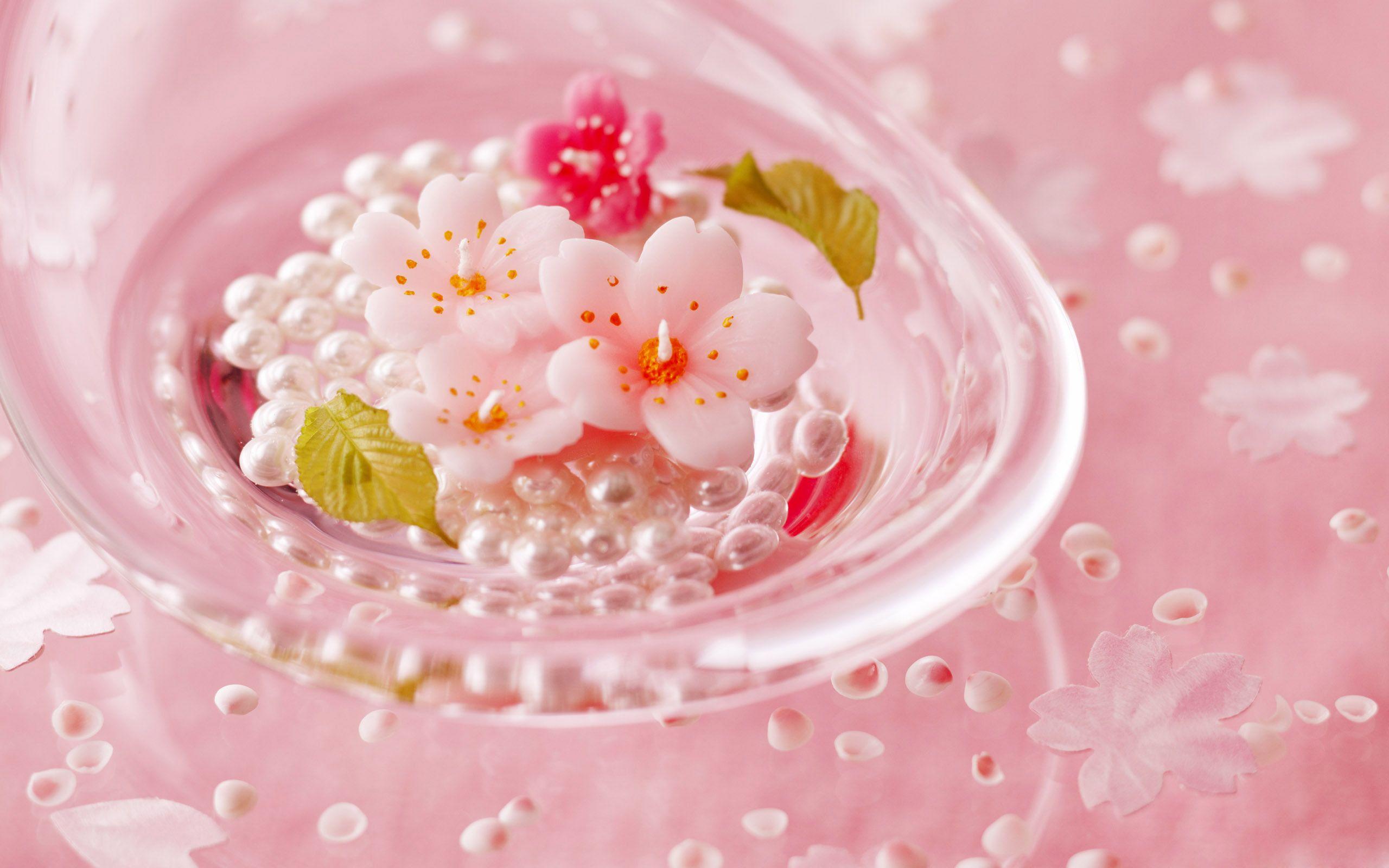 Flowers HD Wallpaper Download