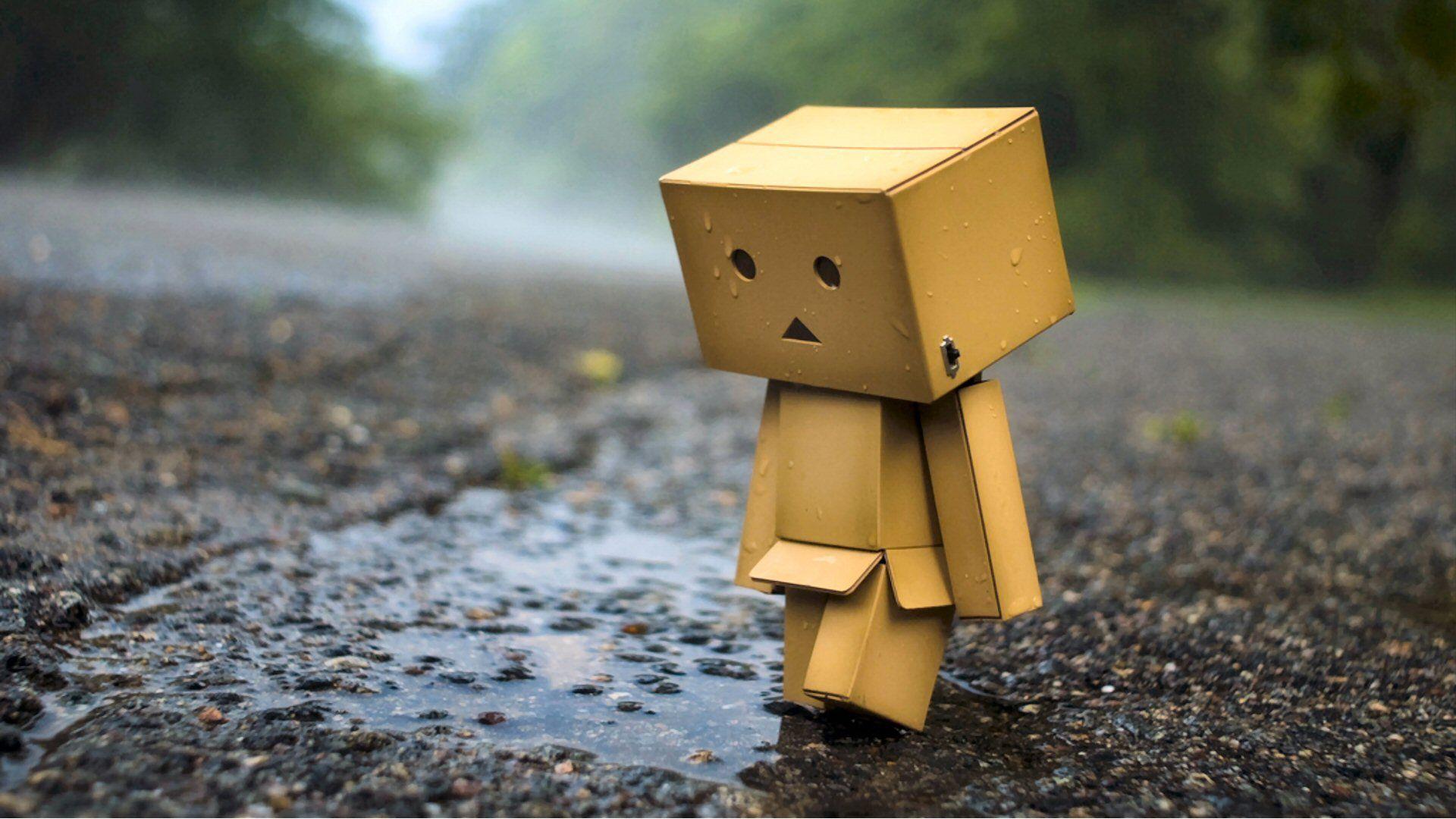 Danbo Wallpaper and Picture