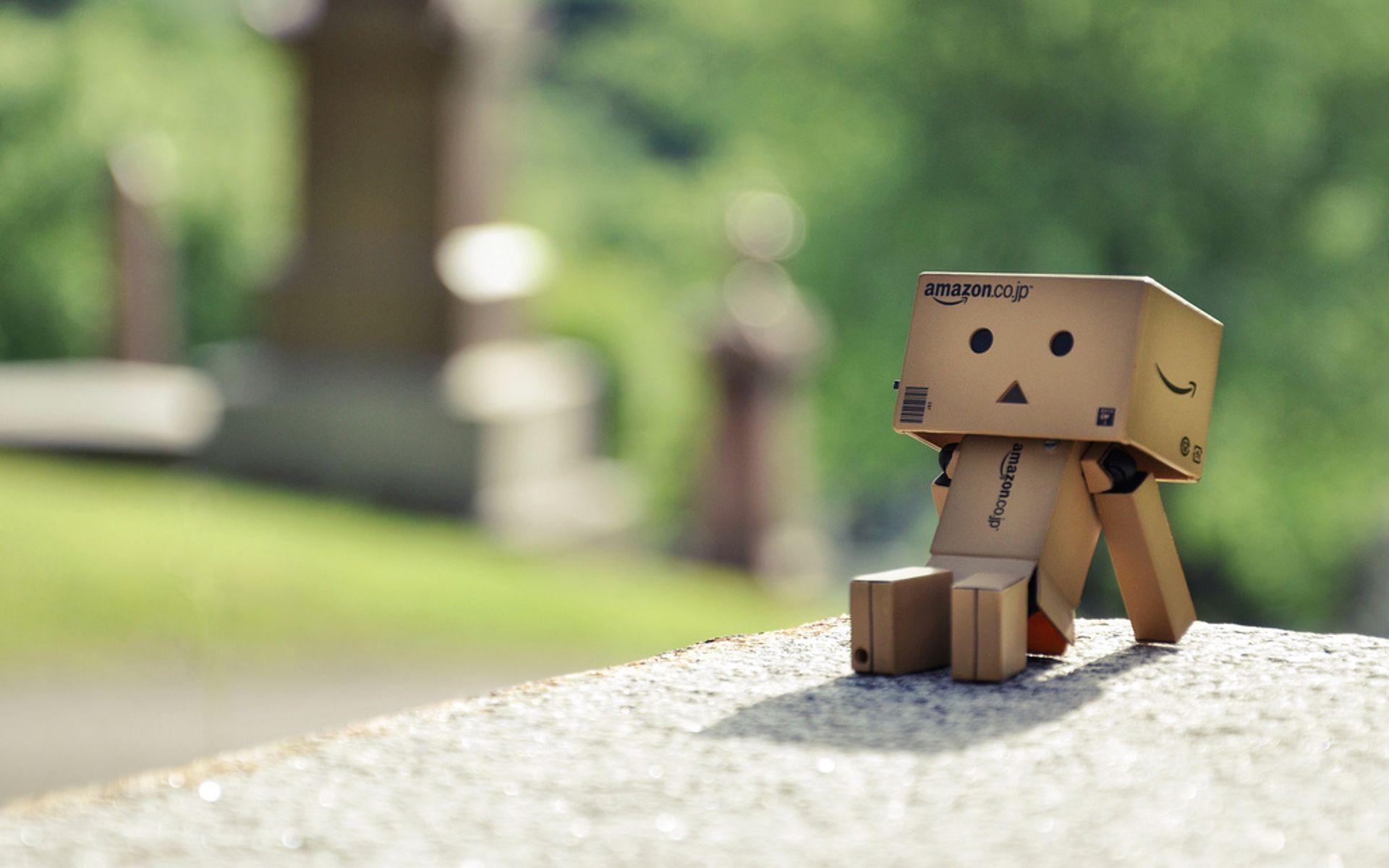 High Resolution Creative Danbo Picture, 1920x Margery