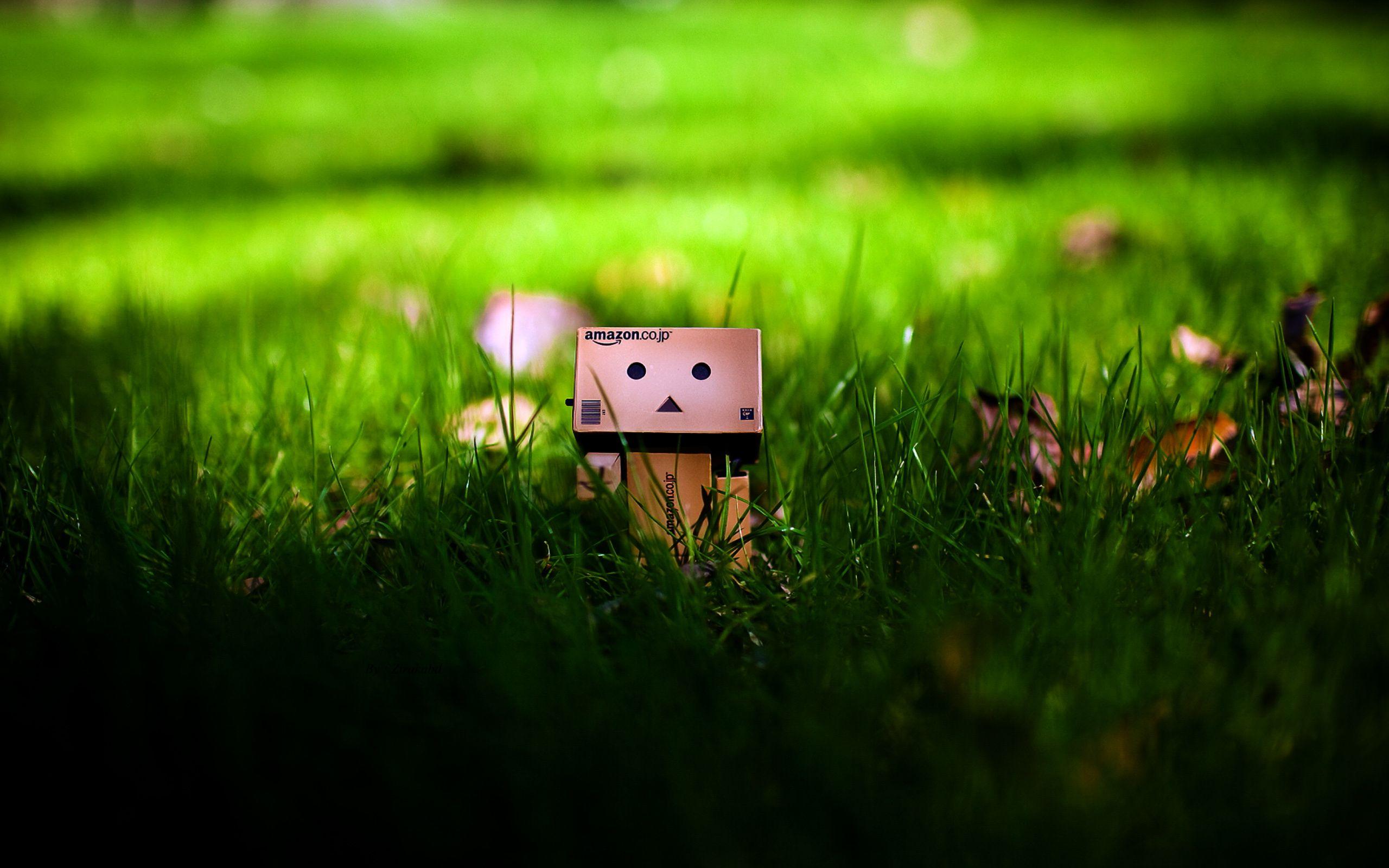 09.16.14 Danbo Desktop Wallpaper for PC & Mac, Tablet