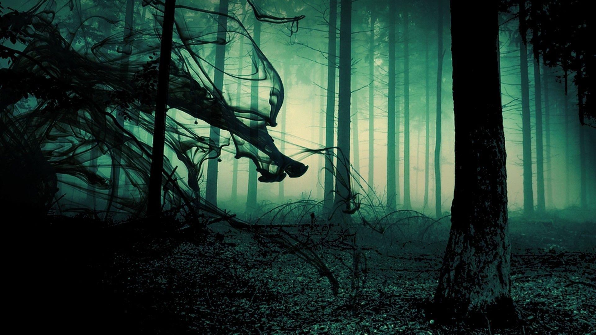 Creepy Dark Fog In Gothic Forest Wallpaper free desktop background